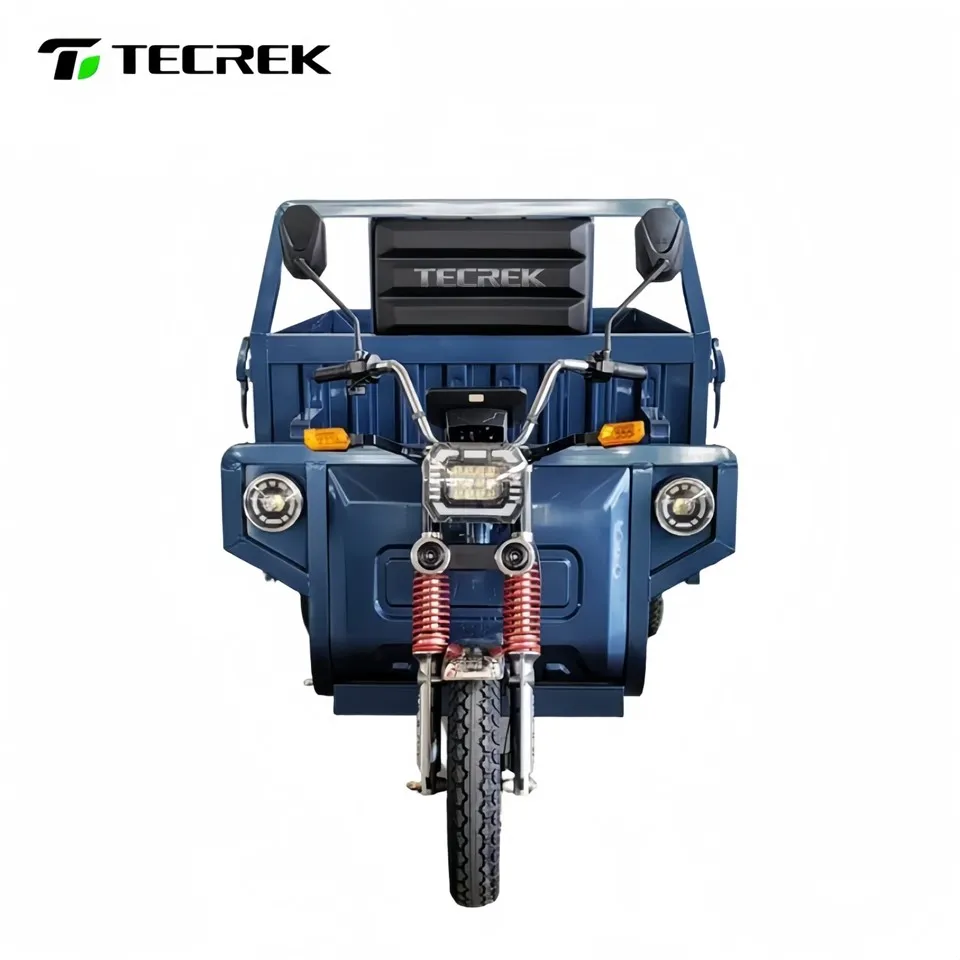 High Load Electric Tricycle suppliers